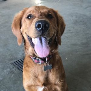 Meet your Posher, Karlee